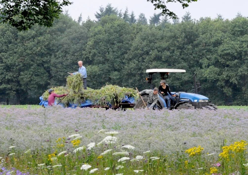 3-daagse cursus over groente: Zaden en rassen in de biologische en biodynamische landbouw - dag 3